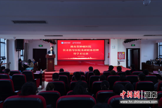 会议现场。湖南省第三人民医院 供图 会议现场。湖南省第三人民医院 供图